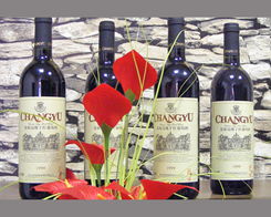 桂林市中糖贸易 专业酒水批发与多元业务拓展